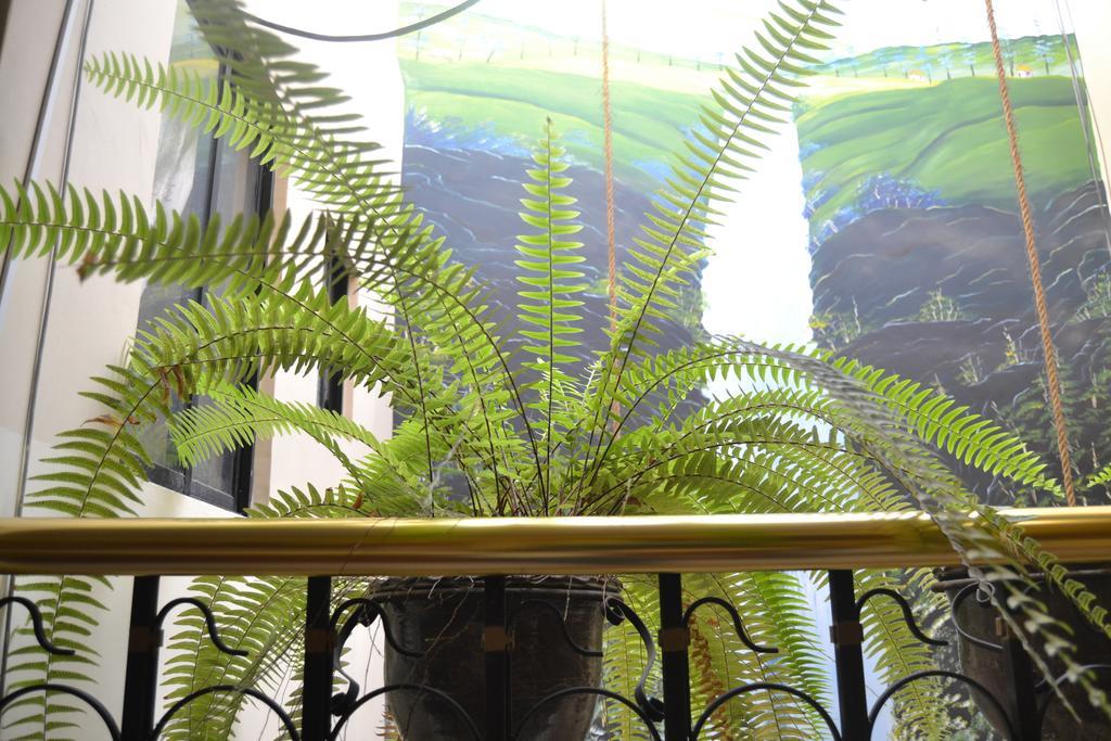 Mashy'S Hostal Otavalo Eksteriør bilde